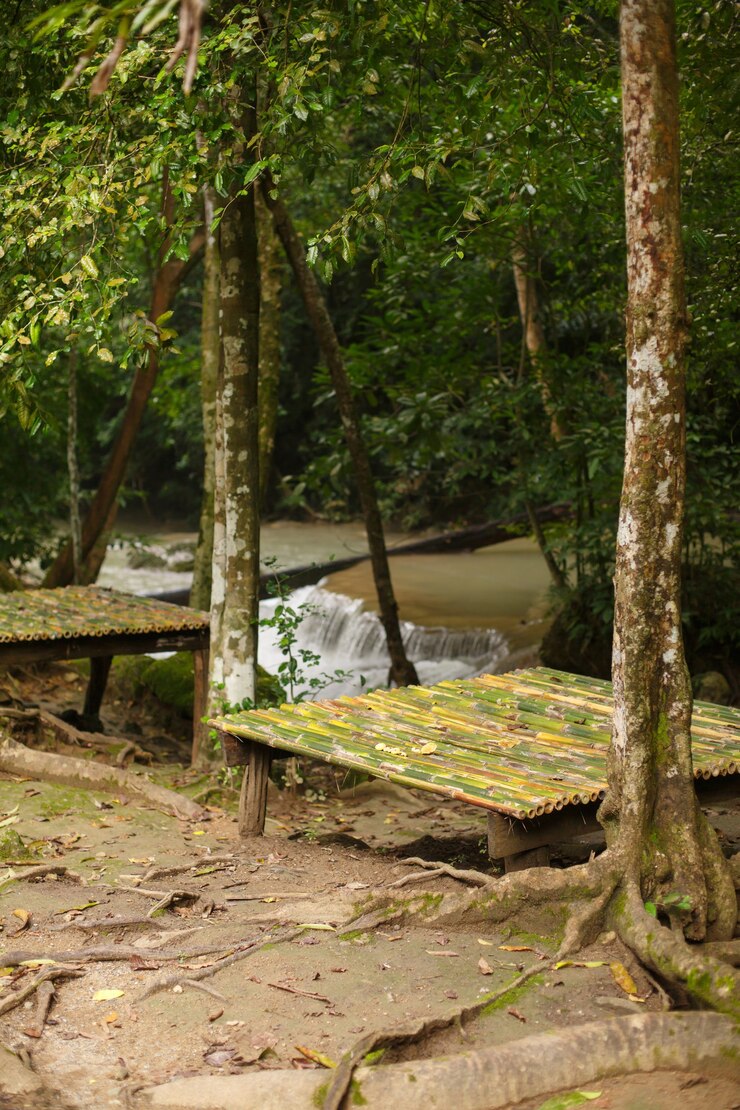 Panca da steli di bambù in una foresta tropicale in riva al fiume