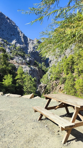 panca di legno in montagna