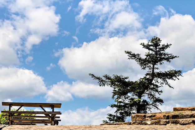 Panca di legno rossa nel campo tra alberi e natura