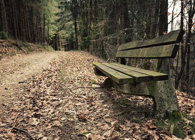 Panca in legno abbandonata