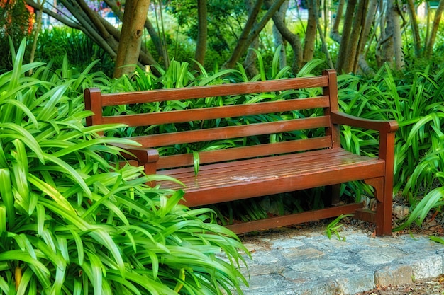 Panca in legno in giardino o parco Ambiente bello e sereno per godersi una pausa tranquilla e pacifica in una giornata di sole con piante in fiore in natura Mobili da esterno in un ambiente rilassante