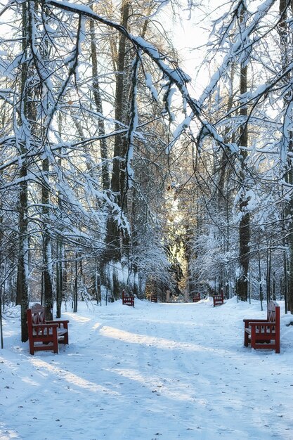 Panca in legno in inverno