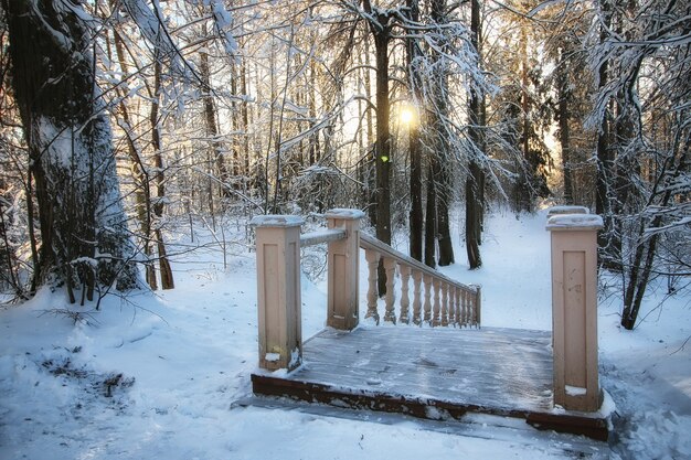 Panca in legno in inverno