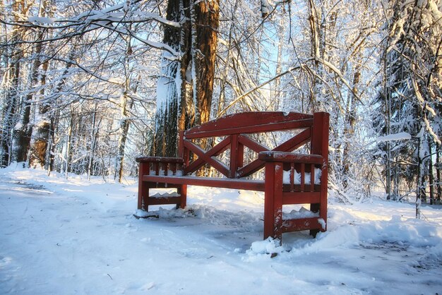 Panca in legno in inverno