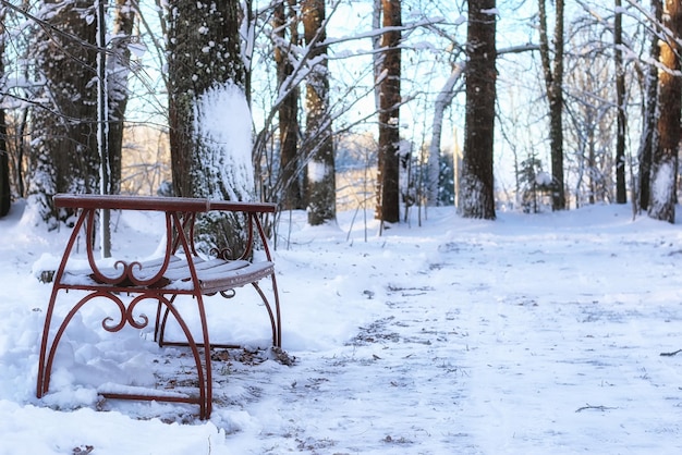 Panca in legno in inverno