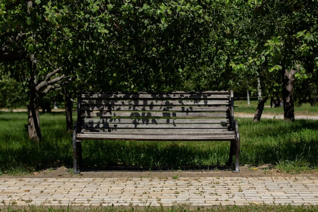 Panca in legno in un ampio giardino