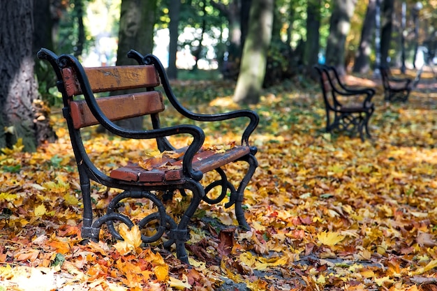 Panca in legno in uno scenario autunnale