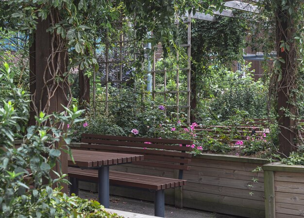 Panca in legno nel giardino con fiori rosa e piante verdi a Helsinki, Finlandia