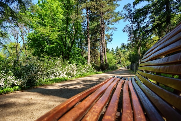 Panca in legno su una passeggiata nel parco con alberi e fiori Campo del Moro Madrid