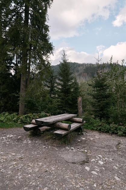 Panca in legno vuota e mobili da tavolo per una vista panoramica durante il picnic Concetto di viaggio con tutta la famiglia