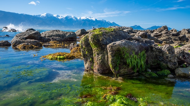 Pancake Rock In Nuova Zelanda