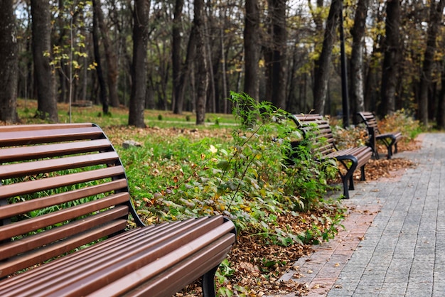 Panche in legno per il relax in un bellissimo parco autunnale. Vista laterale.
