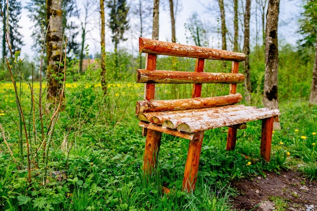 Panchina di legno su un campo erboso