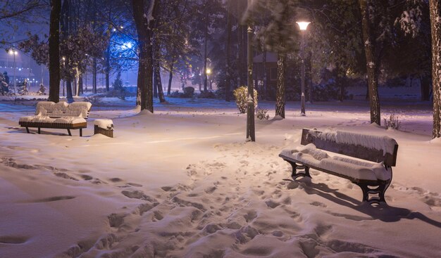 Panchina di paesaggio notturno invernale sotto gli alberi e luci stradali brillanti che cadono fiocchi di neve