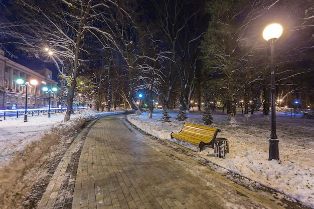 Panchina di paesaggio notturno invernale sotto gli alberi e luci stradali brillanti che cadono fiocchi di neve