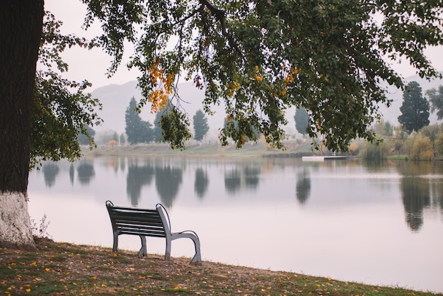 Panchina in riva al lago in autunno