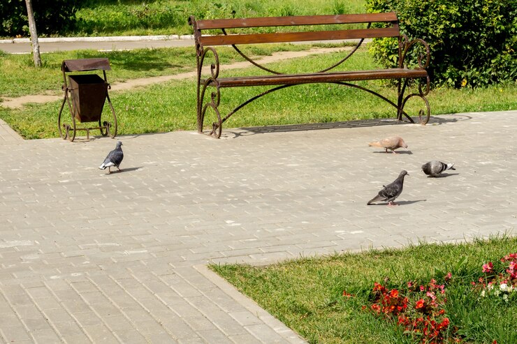 Foto panchina in un parco