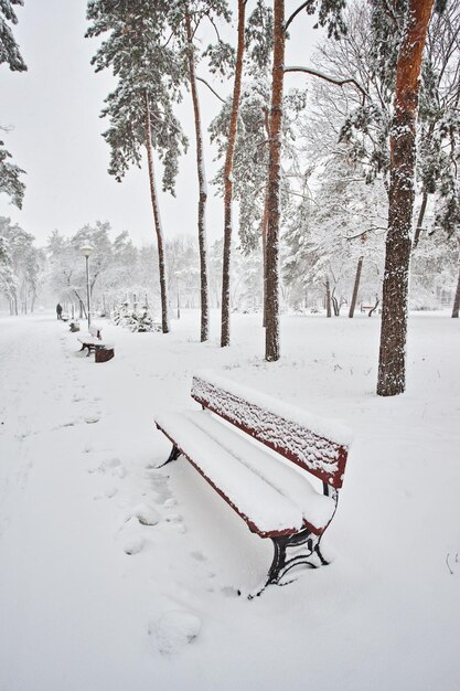 Panchina innevata in un parco