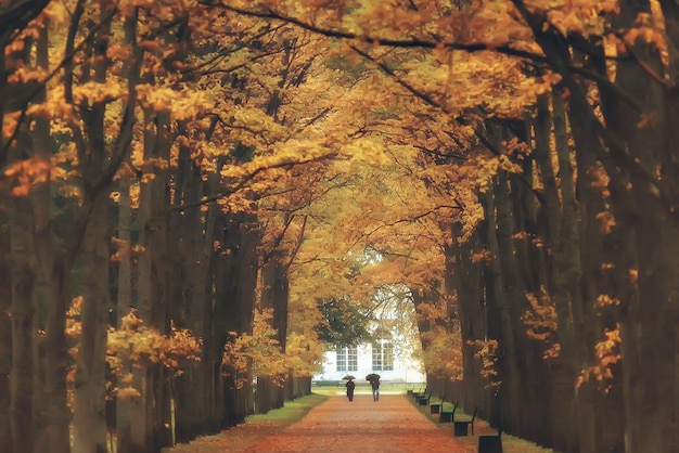 Panchina nel parco autunnale / Paesaggio di ottobre nel parco giallo, sfondo autunnale