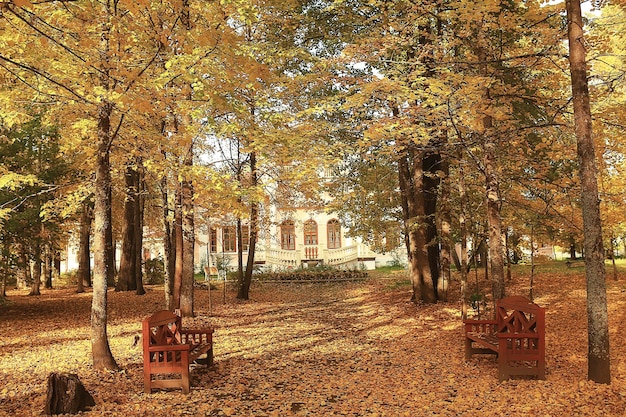 panchina nel parco autunnale, passeggiata per il tempo libero in un paesaggio astratto, concetto di vita calma