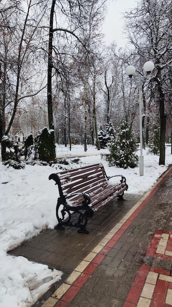 panchina nel parco d'inverno