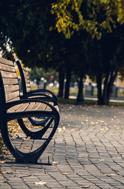 Panchina nel parco di autunno