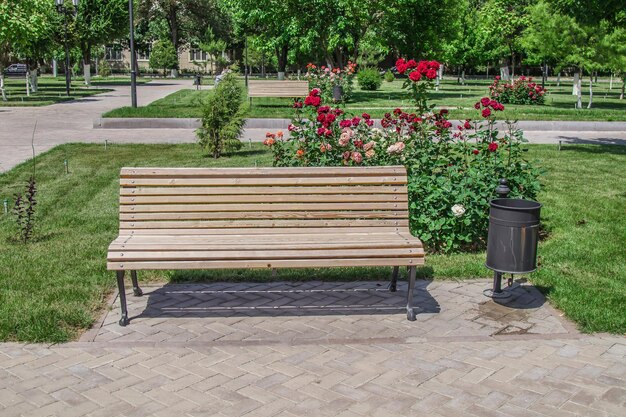 Panchina nel parco in primaveraPaesaggio