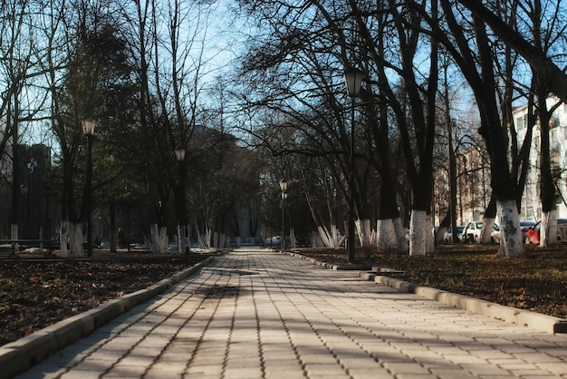 Panchina nel parco primaverile