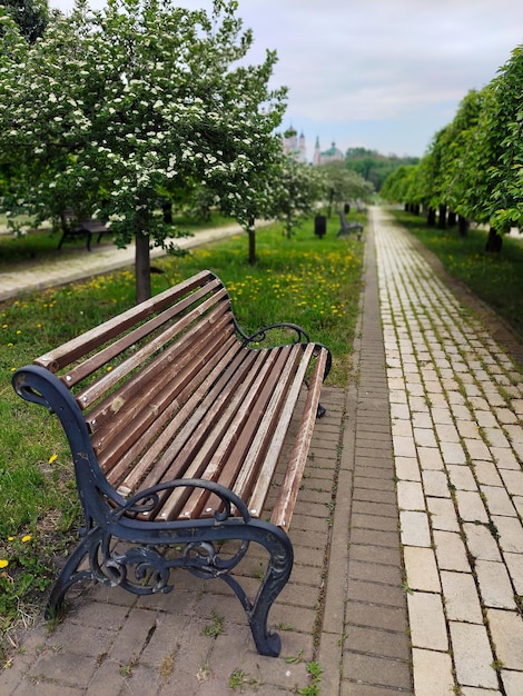 Panchina nel parco sul vicolo nella prospettiva di un sentiero a piedi