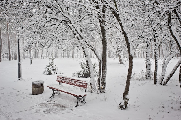 Panchina nel parco sulla neve