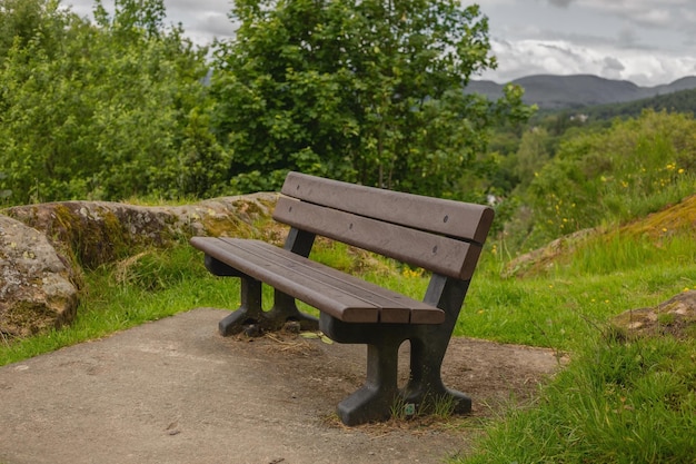 Panchina nel parco sullo sfondo di piante verdi