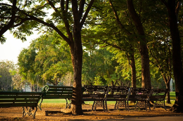 Panchina nel parco.