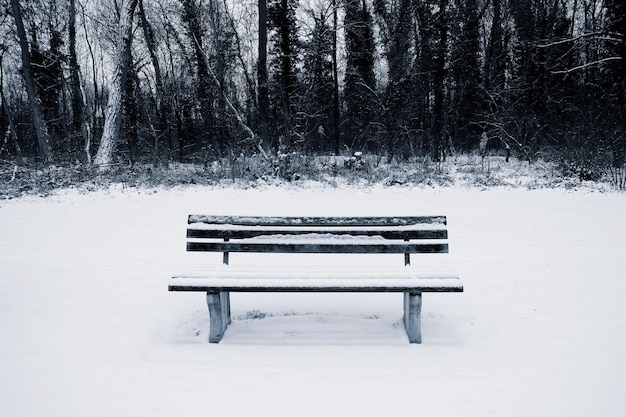 Panchina vuota nel parco durante l'inverno