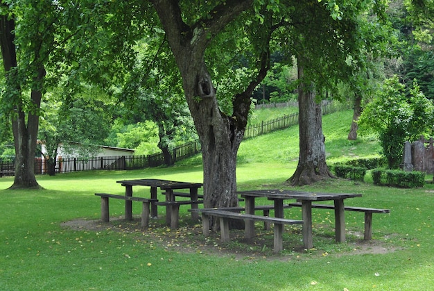 Panchina vuota nel parco
