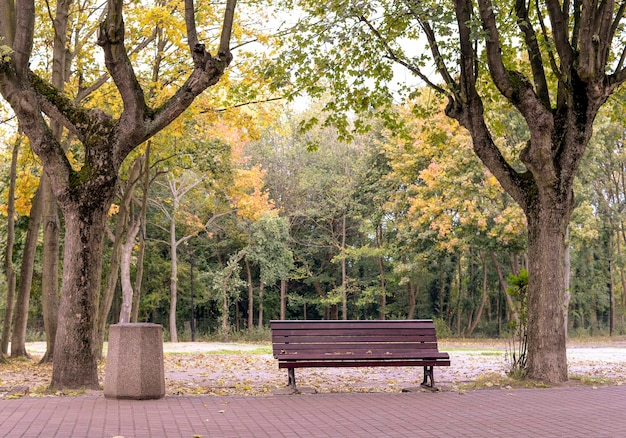 Panchina vuota nel parco