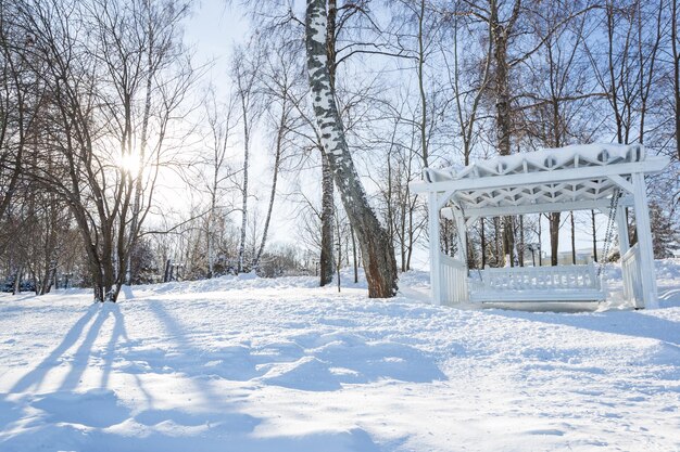 Panchine e alberi coperti da forti nevicate in inverno. Molta neve.