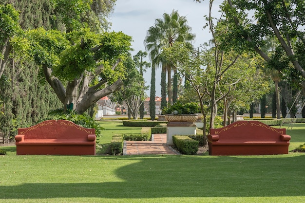 Panchine in cemento color terracotta con alberi sullo sfondo e cielo blu