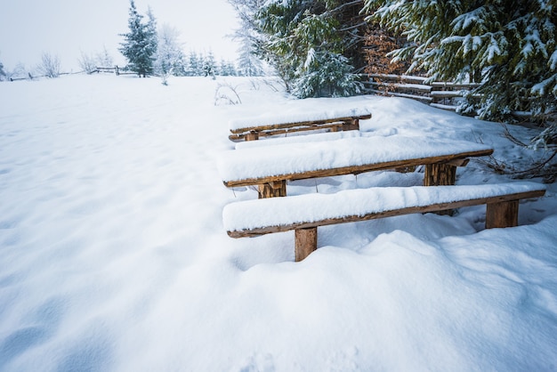 Panchine innevate stanno in alti cumuli di neve