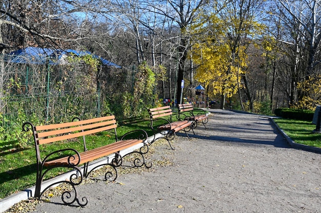 Panchine nel parco in attesa di visitatori