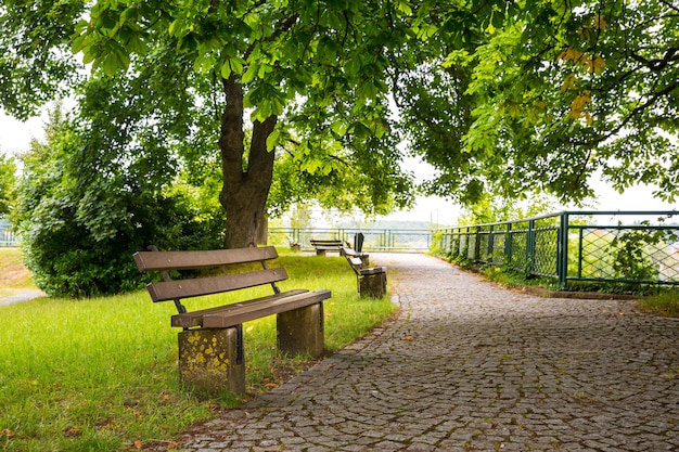 Panchine nel parco verde, vecchia città europea, nessuno. Turismo e viaggi estivi, famoso punto di riferimento in Europa, luoghi popolari per i turisti