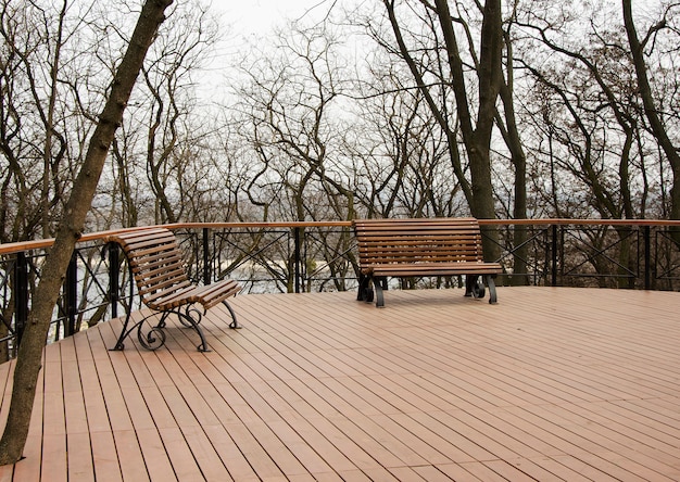 Panchine nel parco