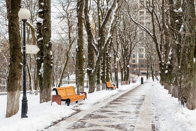 Panchine vuote coperte di neve nel parco invernale