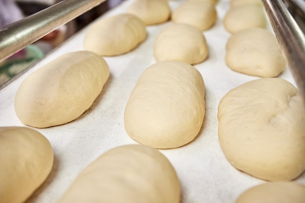 Pane a pasta cruda su una teglia da forno prima della cottura in forno presso la produzione