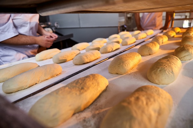 Pane a pasta cruda su una teglia da forno prima della cottura in forno presso la produzione