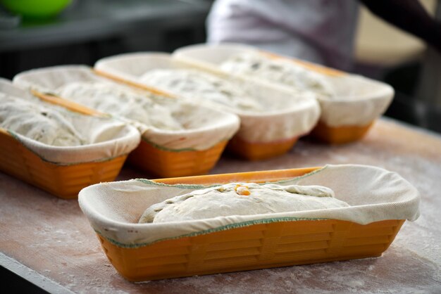 Pane biologico sotto forma pronto per il forno