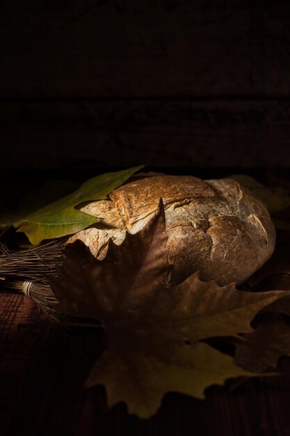 pane fatto con farine biologiche