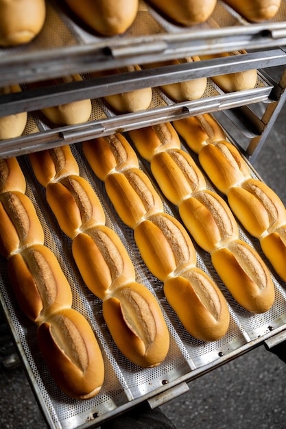 pane tradizionale brasiliano, noto come pane francese. Produzione industriale di pane francese