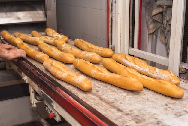 Panettiere che estrae il pane appena sfornato dal forno industriale