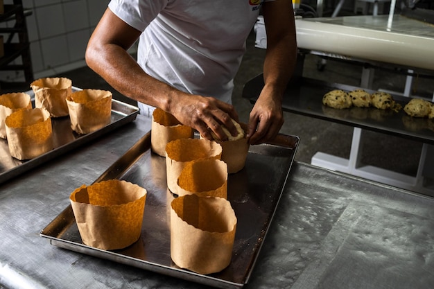 Panettone. Produzione industriale di panettoni natalizi