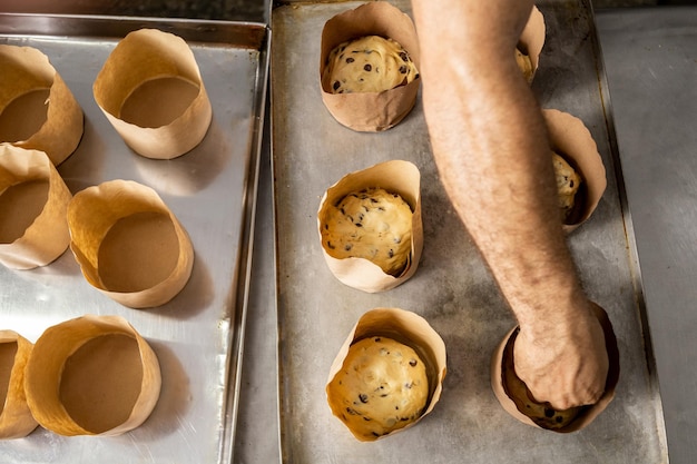 Panettone. Produzione industriale di panettoni natalizi